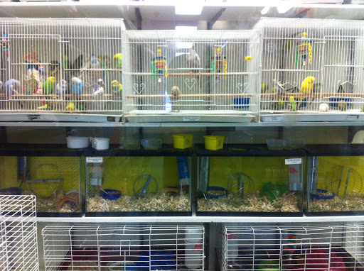 Pet Store «Petland Discounts - 125th Street», reviews and photos, 167 E 125th St, New York, NY 10035, USA