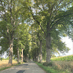 Photo n°3 de l'avis de Franziska.o fait le 27/08/2022 à 16:20 sur le  Naturhafen Krummin à Krummin