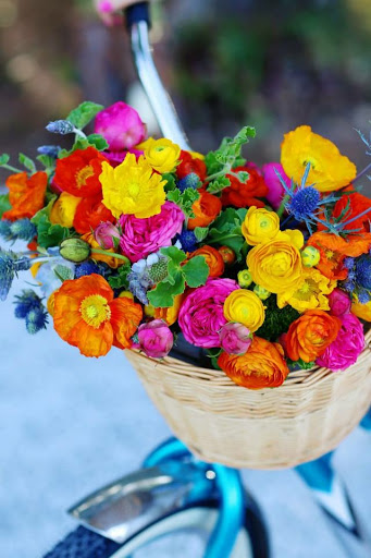 Florist «Designs by Darenda», reviews and photos, 240 S Krome Ave, Homestead, FL 33030, USA