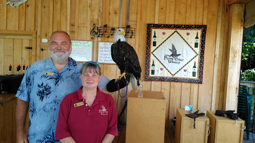 Winery «Flying Otter Winery», reviews and photos, 3402 Chase Rd, Adrian, MI 49221, USA