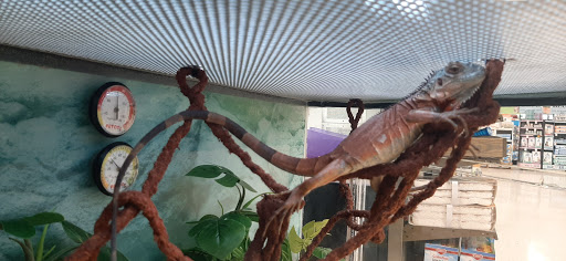 Pet Supply Store «Petco Animal Supplies», reviews and photos, 231 N Glendale Ave, Glendale, CA 91206, USA