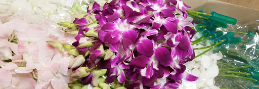 Florist «The Floral Gallery», reviews and photos, 146 Williams St, Marlborough, MA 01752, USA