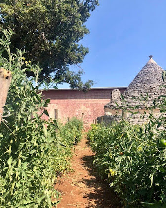 Photo Villa Masseria Bacano 70010 Turi