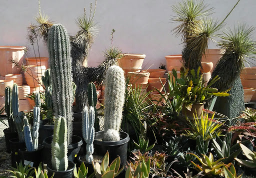 Garden Center «International Garden and Floral Design Center», reviews and photos, 155 N Sepulveda Blvd, El Segundo, CA 90245, USA