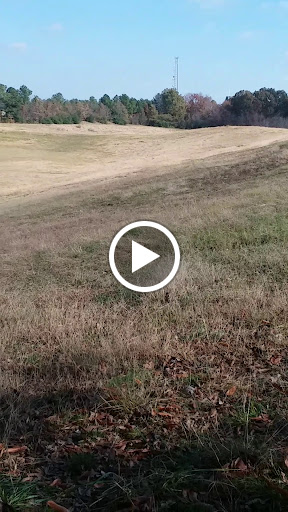 Community Center «Hickory Hill Community Center», reviews and photos, 3910 Ridgeway Rd, Memphis, TN 38115, USA