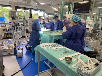 HOPIA - CLINIQUE VETERINAIRE BOZON à Guyancourt