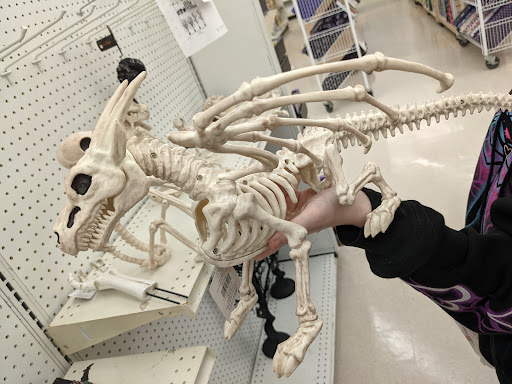 Fabric Store «Jo-Ann Fabrics and Crafts», reviews and photos, 1800 Skibo Rd, Fayetteville, NC 28303, USA