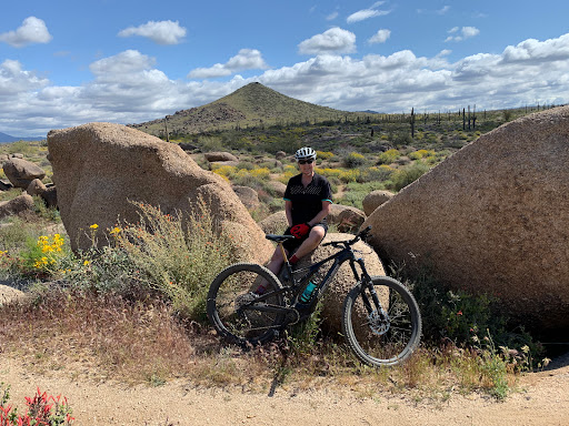 Bicycle Store «Bike Barn», reviews and photos, 4112 N 36th St, Phoenix, AZ 85018, USA