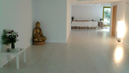 Centro de yoga, Mandala