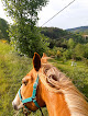 Les Enfants du Centaure Poney-club Langogne