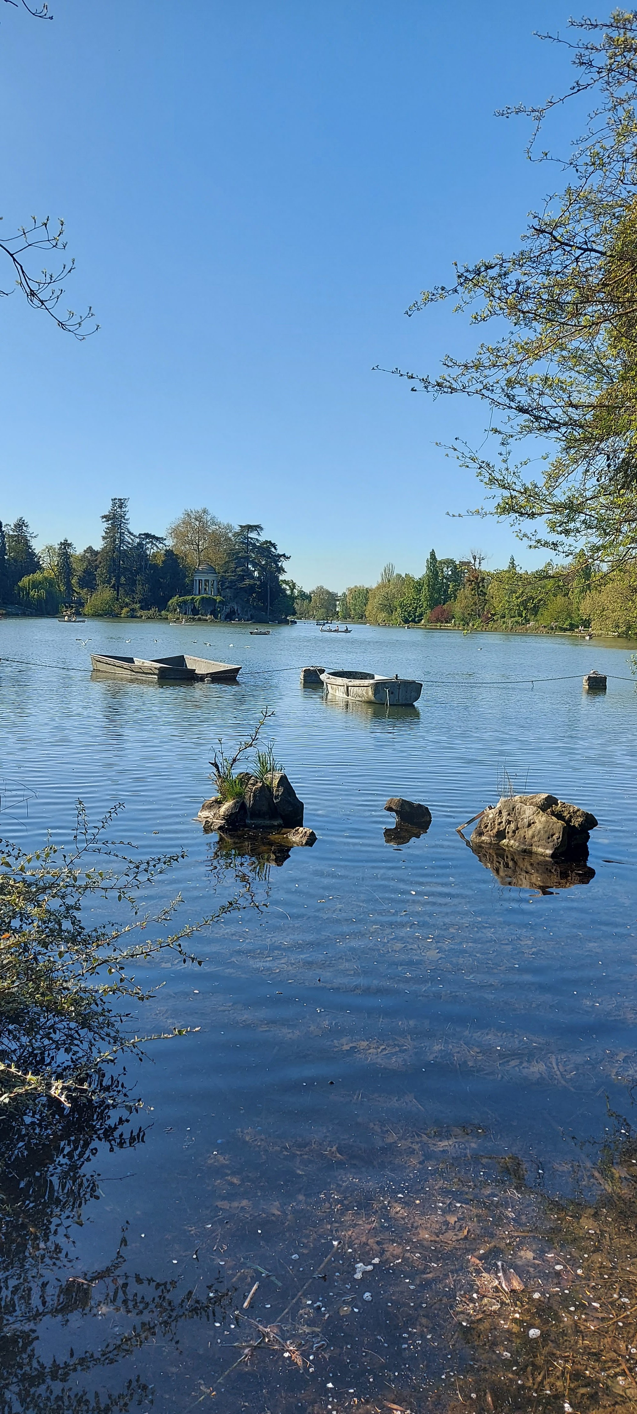 Photo n° 27 de l'avis de gwadilina.l fait le 12/05/2022 à 00:30