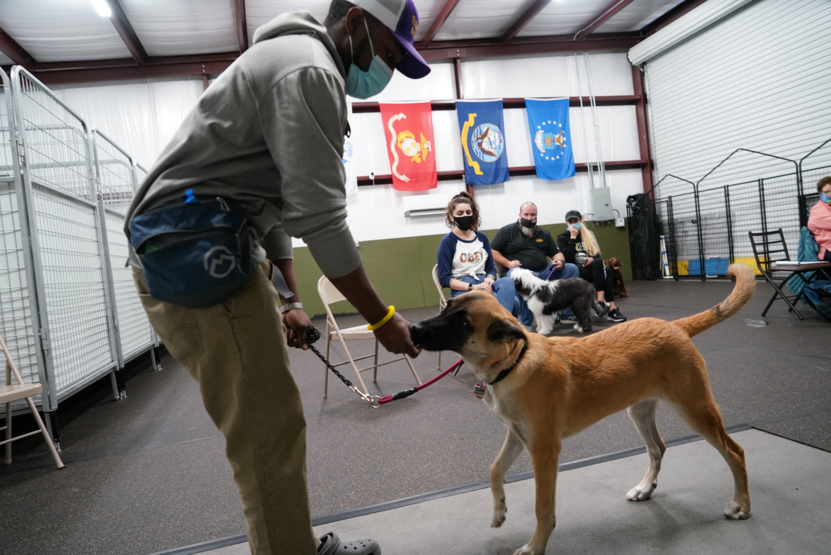 Semper Amici Canine Training