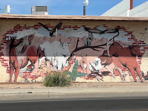 Pet Supply Store «O K Feed & Supply», reviews and photos, 3701 E Fort Lowell Rd, Tucson, AZ 85716, USA