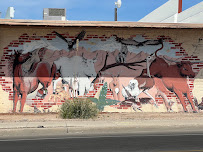 OK Feed & Supply - Photo 9 - Car repair in Tucson, AZ, Tucson