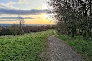 Windy Nook Nature Park image