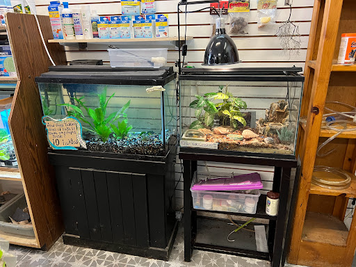 Pet Supply Store «The Animal Connection», reviews and photos, 2550 2550 Judah St & 31st Ave, San Francisco, CA 94122, USA