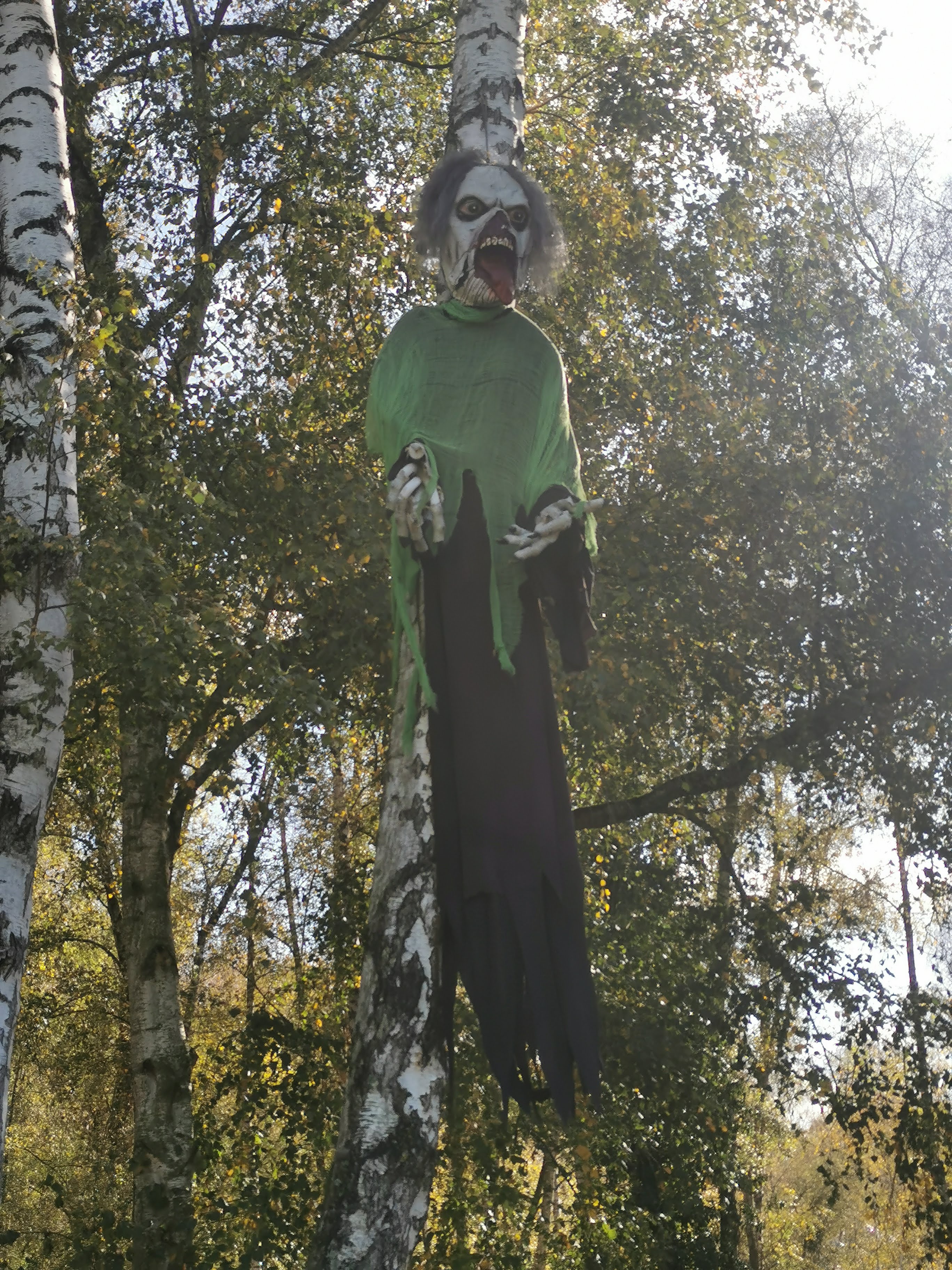 Photo n° 17 de l'avis de Isabelle.o fait le 29/10/2023 à 20:14