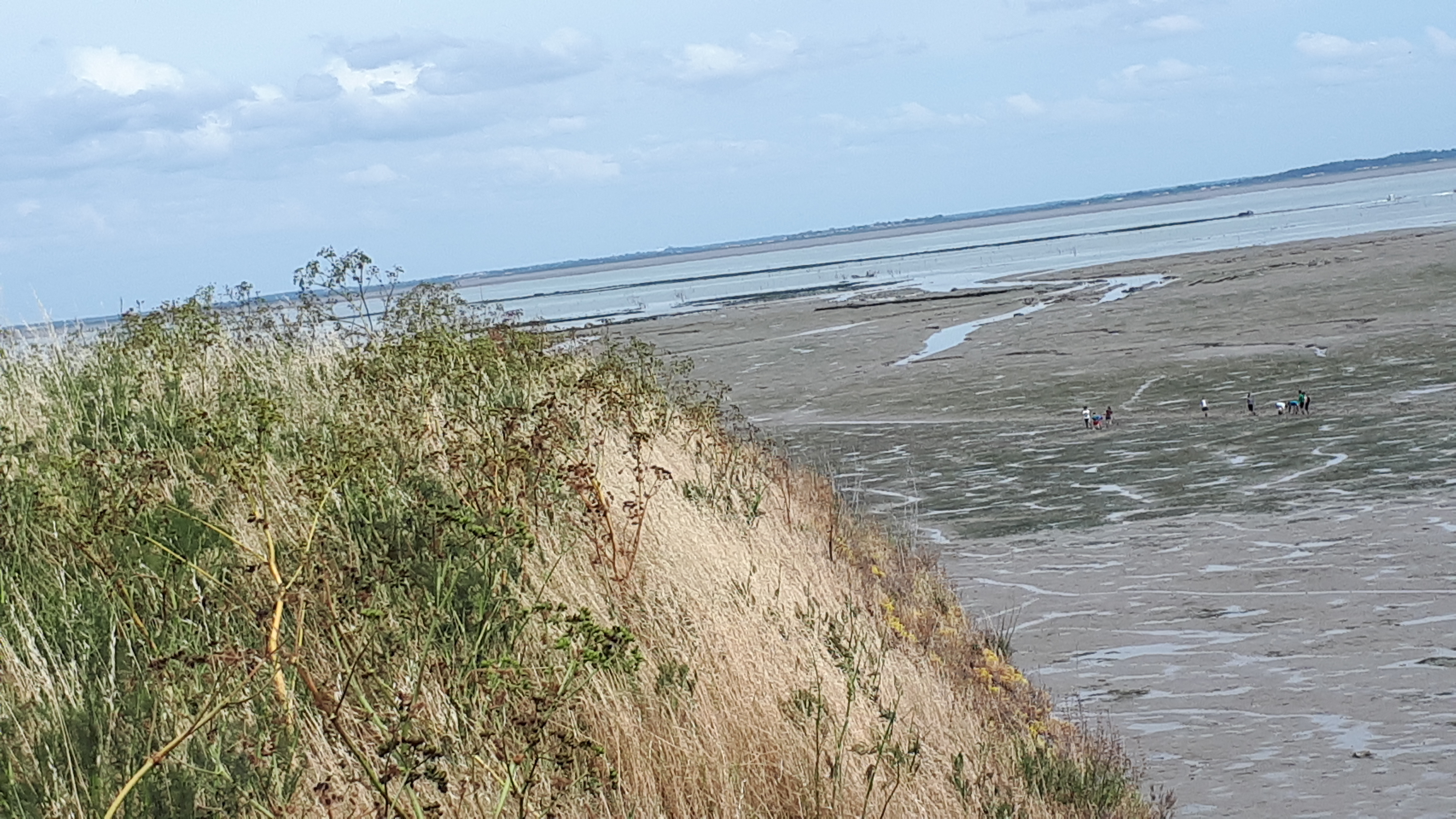 Photo n° 12 de l'avis de Christophe.e fait le 08/06/2019 à 14:57