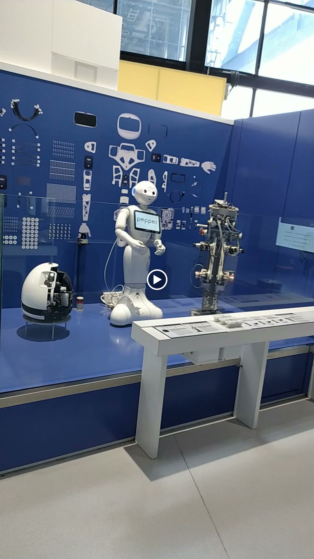 Photo n° 8 de l'avis de Cyanopsie.E fait le 14/01/2024 à 21:11