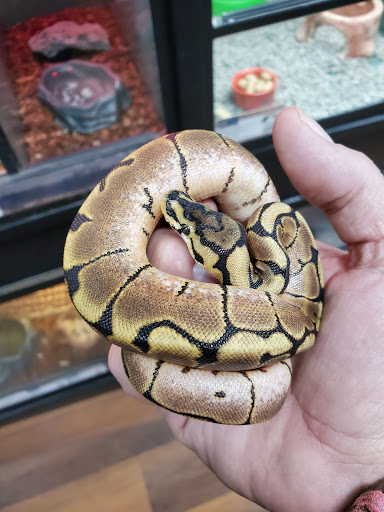 Pet Supply Store «Pet Valu», reviews and photos, 325 Cross Roads Blvd, Cold Spring, KY 41076, USA