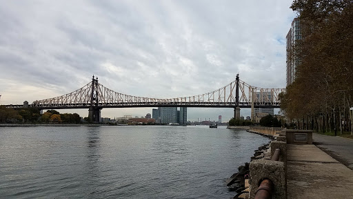 Roosevelt Island Visual Arts Association (RIVAA) image 6