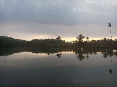 Objek Wisata Paya Ogung Jaya