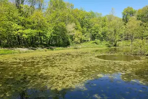 Humiston Woods Nature Preserve image