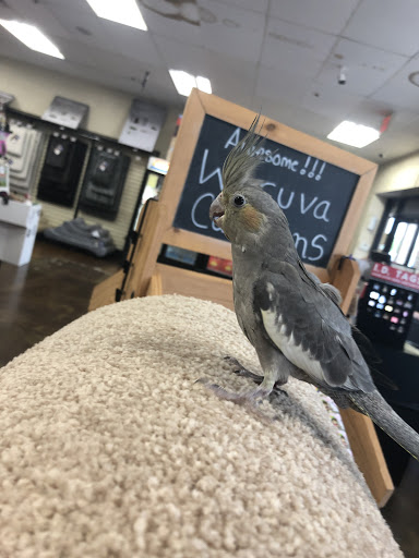 Pet Supply Store «Choice Pet - Danbury», reviews and photos, 67 Newtown Rd, Danbury, CT 06810, USA