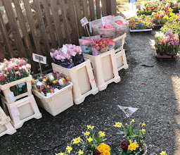 Blumenshop photo