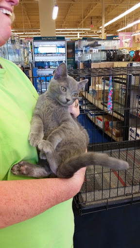 Pet Supply Store «Petco Animal Supplies», reviews and photos, 5631 Grove Blvd, Hoover, AL 35226, USA