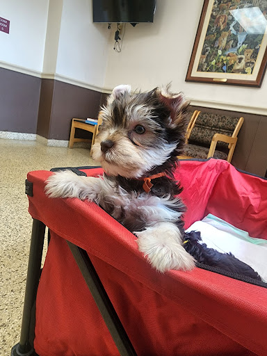 Cherryville Animal Hospital image