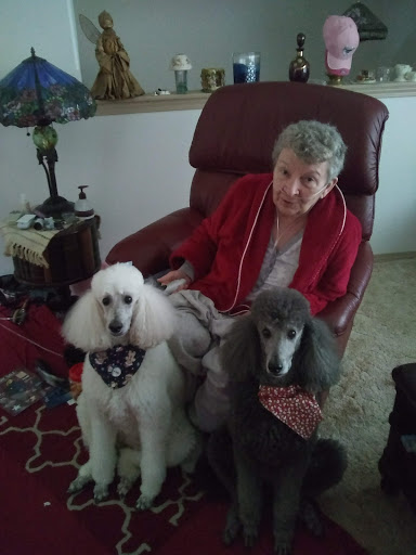 Pet Store «Phase II Pet Grooming», reviews and photos, 1700 Mile Hill Dr, Port Orchard, WA 98366, USA