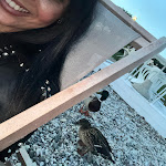 Photo n°4 de l'avis de Sabrina.e fait le 06/05/2024 à 17:25 sur le  Spiaggia d'oro's Cala de Or à Desenzano del Garda