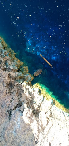 Amusement Center «Starland Sports & Fun Park», reviews and photos, 645 Washington St, Hanover, MA 02339, USA