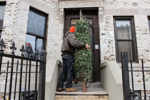 Christmas Tree Brooklyn image 1