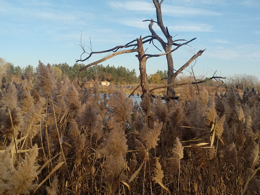 Nature Preserve «Nippersink Forest Preserve», reviews and photos, 900 W Belvidere Rd, Round Lake, IL 60073, USA
