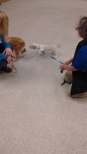 Pet Supply Store «PetSmart», reviews and photos, 128 Bailey Farm Rd, Monroe, NY 10950, USA