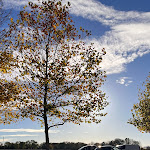 Photo n°1 de l'avis de N..a fait le 13/03/2024 à 10:09 sur le  McDreams Hotel München-Messe à Feldkirchen