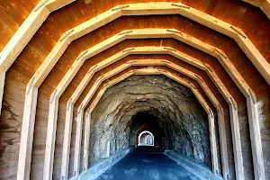 Mosier Twin Tunnels image