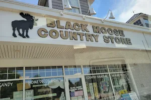 Black Moose Country Store image