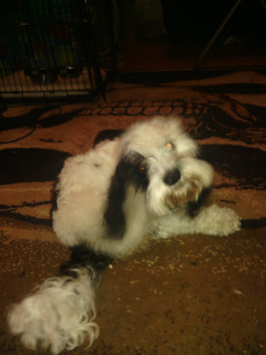 Nature Preserve «Kishwauketoe Nature Conservancy», reviews and photos, 251 Elkhorn Rd, Williams Bay, WI 53191, USA