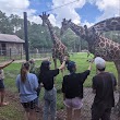 White Oak Conservation Center (Yulee, FL)