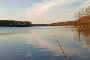 Shoal Creek Nature Conservation Area image