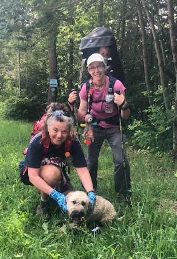 The Healthy Hiker Profile Picture