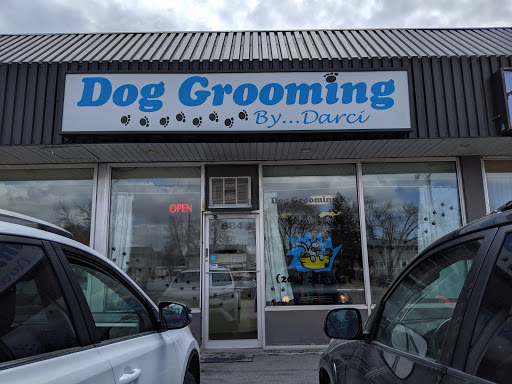 Dog Grooming by Darci