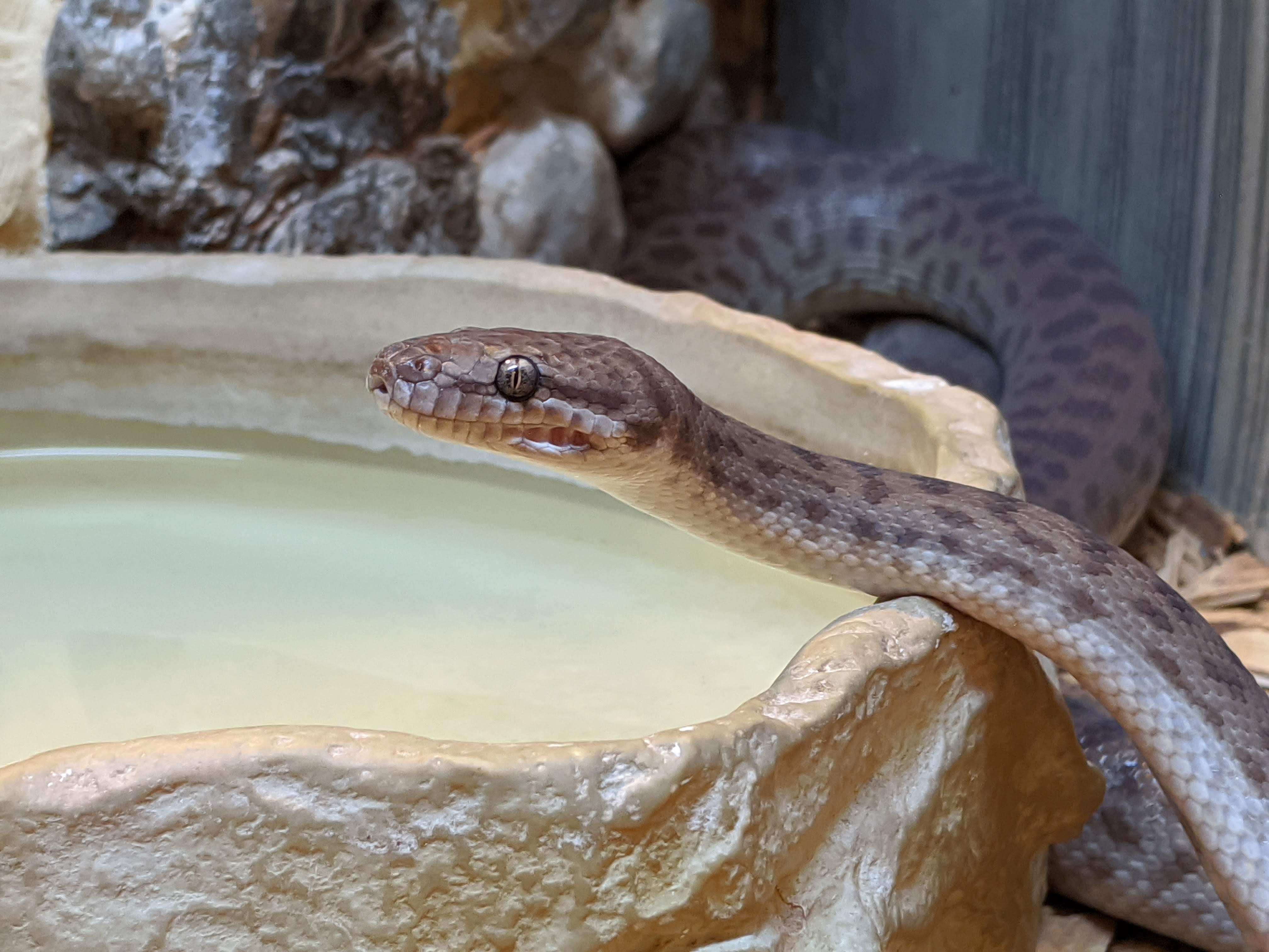 Photo n° 9 de l'avis de Gabin.u fait le 09/12/2013 à 19:36