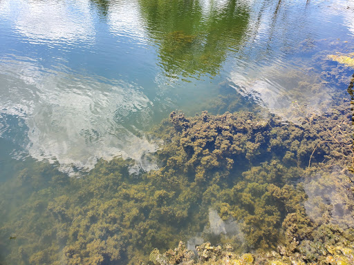 Park «Northwest Community Park», reviews and photos, 8575 Blue Mound Rd, Fort Worth, TX 76137, USA