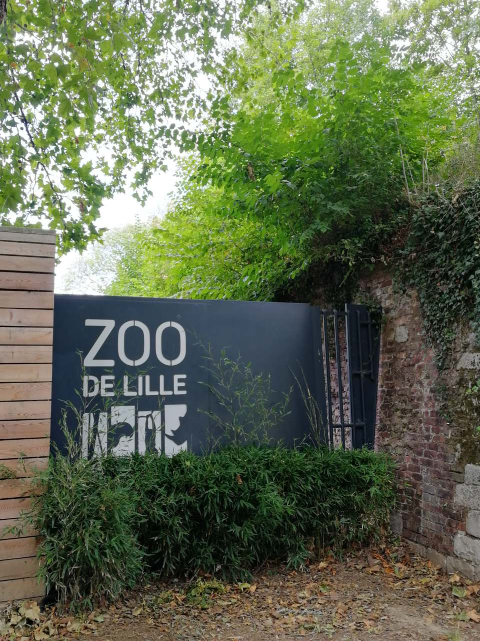 Photo n° 1 de l'avis de Amine.U fait le 09/09/2019 à 14:00