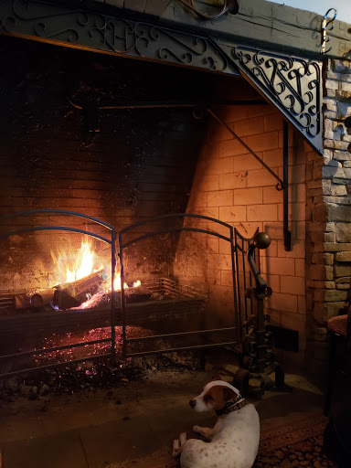 Vineyard «Harpersfield Vineyard», reviews and photos, 6387 OH-307, Geneva, OH 44041, USA