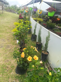 Vivero Mundo Verde